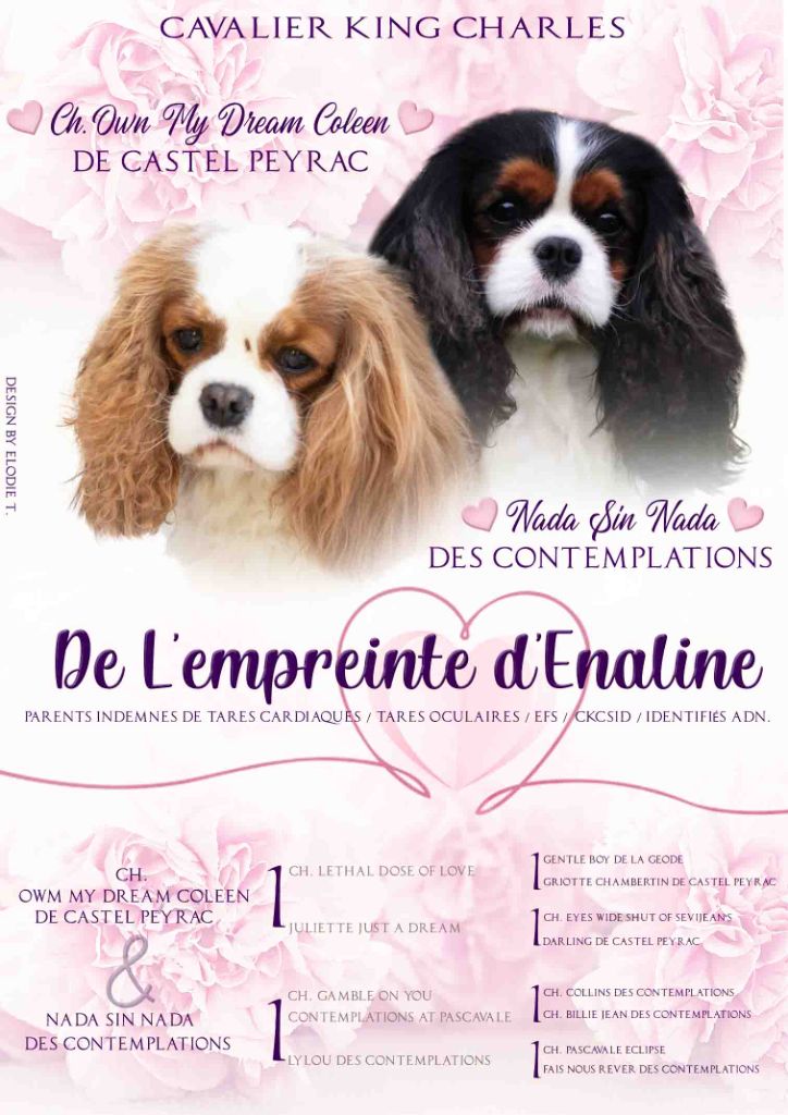 de l'Empreinte d'Enaline - Nos premiers bébés sont nés !