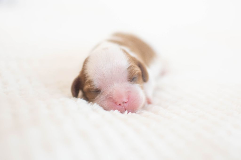 4 jours pour les bébés de Coleen & Nada