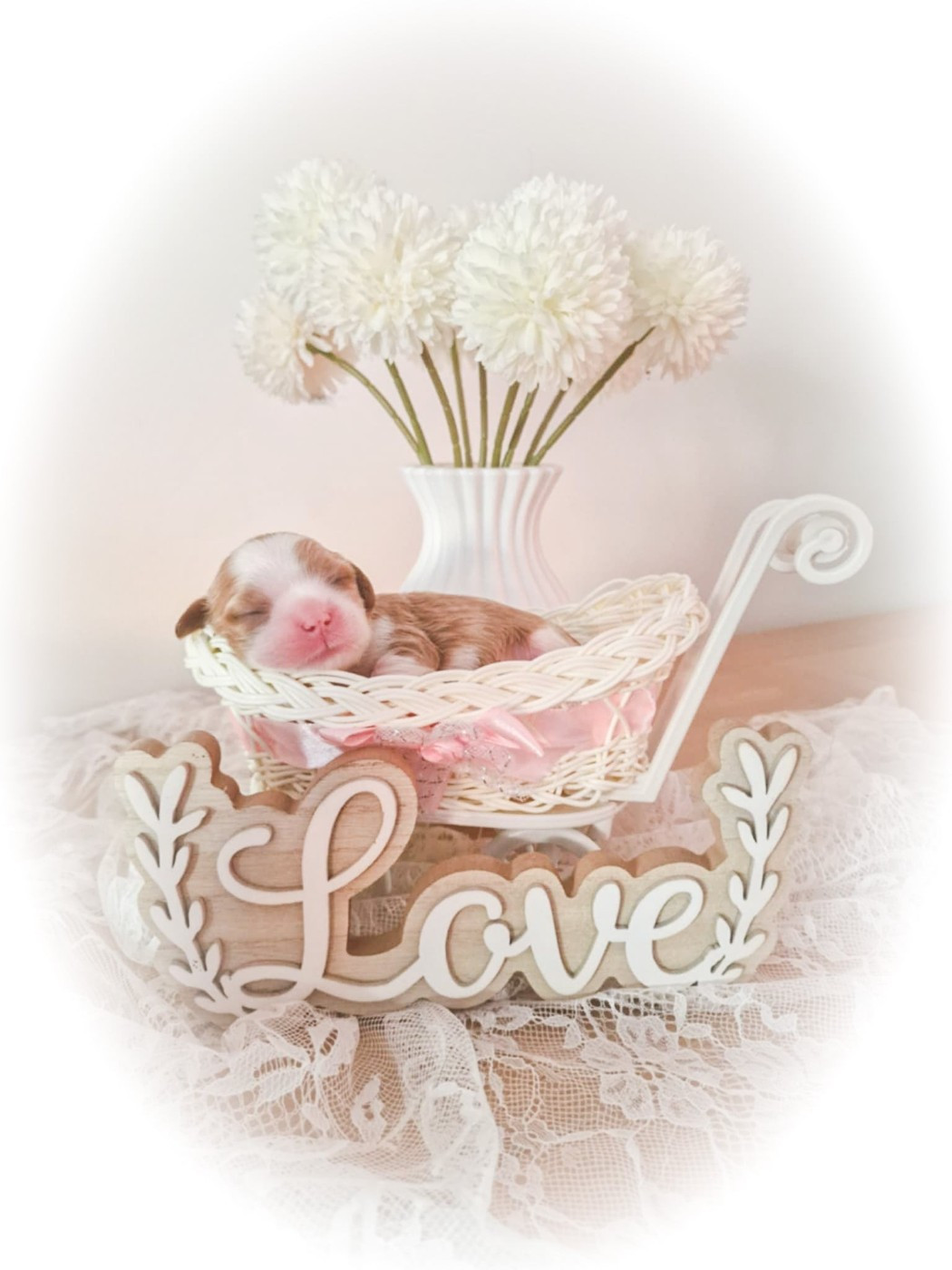 1 semaine pour les bébés de Penny et de Christian