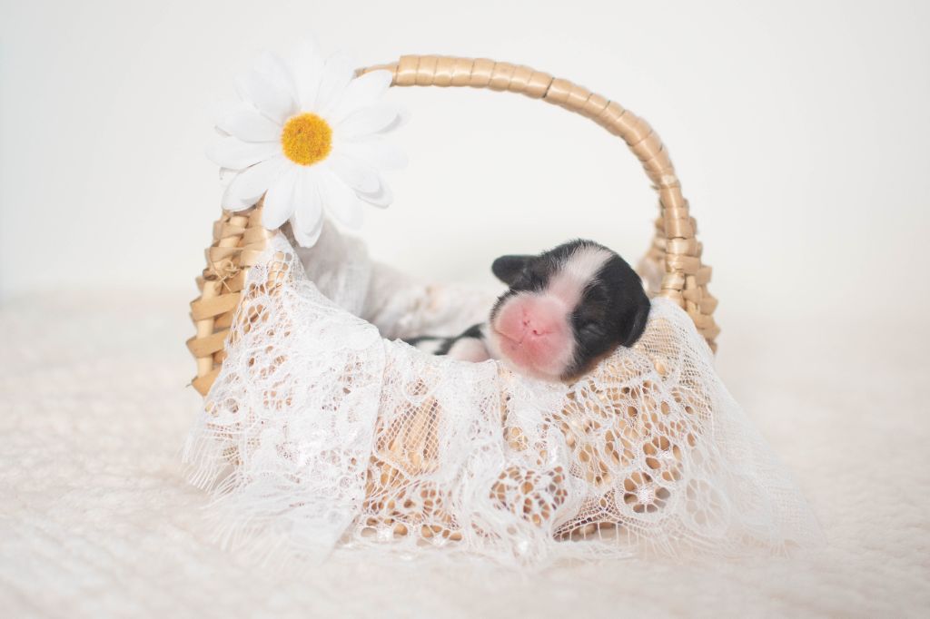 1 semaines des bébés de Coleen & Nada